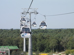 SX24355 Cable carts at Floriade.jpg